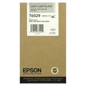 Epson C13T602900 T6029 Duble Açık Siyah Orijinal Kartuş