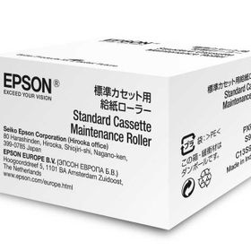 Epson S990011-C13S990011 Orijinal Bakım Kiti