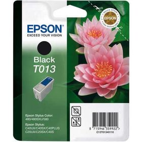 Epson T013-C13T01340120 Siyah Kartuş