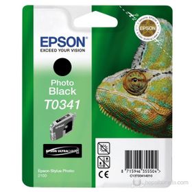 Epson T0341-C13T03414020 Siyah Foto Kartuş
