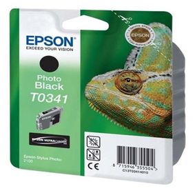 Epson T0341-C13T03414020 Siyah Foto Kartuş