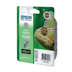 Epson T0347-C13T03474020 Açık Siyah Kartuş