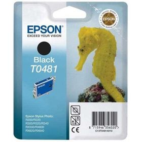 Epson T0481 Siyah Yazıcı Kartuşu