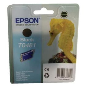 Epson T0481 Siyah Yazıcı Kartuşu