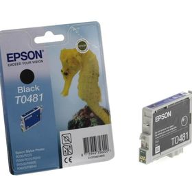 Epson T0481 Siyah Yazıcı Kartuşu