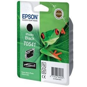 Epson T0541 Siyah Kartuş