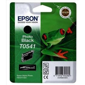 Epson T0541 Siyah Kartuş