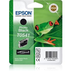Epson T0541 Siyah Kartuş