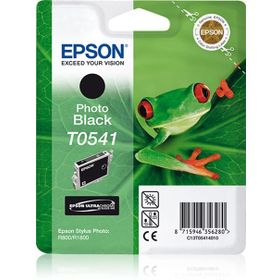 Epson T0541 Siyah Kartuş