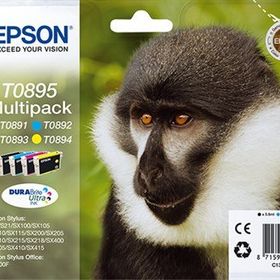 Epson T0895-C13T08954020 Kartuş