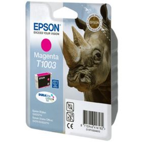 Epson T10034020 Kartuş