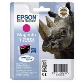 Epson T10034020 Kartuş