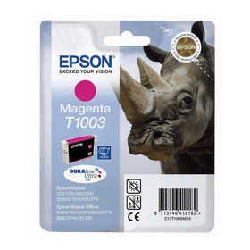 Epson T10034020 Kartuş