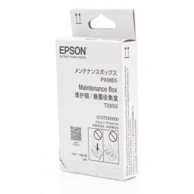 Epson T2950-C13T295000 Bakım Kiti