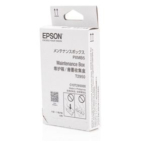 Epson T2950-C13T295000 Bakım Kiti
