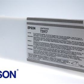 Epson T5917-C13T591700 Açık Siyah Kartuş