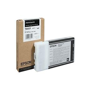 Epson T6031-C13T603100 Siyah Foto Kartuş
