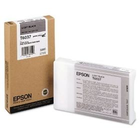 Epson T6037-C13T603700 Açık Siyah Kartuş