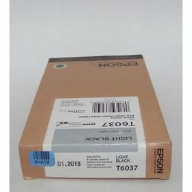 Epson T6037-C13T603700 Açık Siyah Kartuş