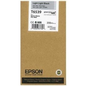 Epson T6539-C13T653900 Açık Siyah Kartuş