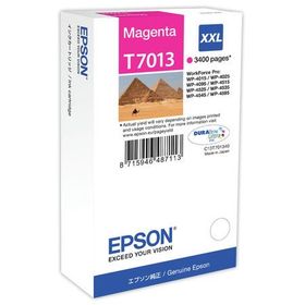 Epson T7013XXL C13T70134010 Mavi Kartuş