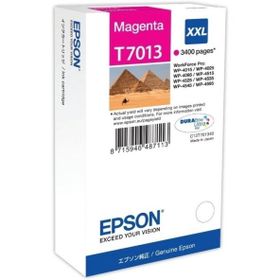 Epson T7013XXL C13T70134010 Mavi Kartuş