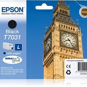 Epson T7031-C13T70314010 Siyah Kartuş