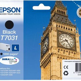 Epson T7031l Siyah Orjinal Kartuş