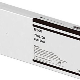 Epson T8047-C13T804700 Açık Siyah Kartuş