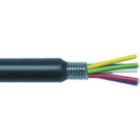 Erat G652 D 1 m 24 Core Slt Sm 9/125 Tek Kılıflı Zırhlı Kablo