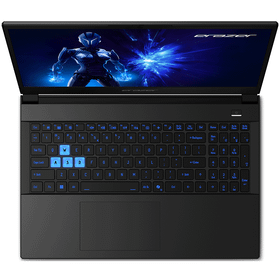 Erazer Deputy 15 P1 MD600004 i7-13620H 16GB RAM 1TB SSD RTX 5060 FreeDOS 15.6 inç Oyun Bilgisayarı