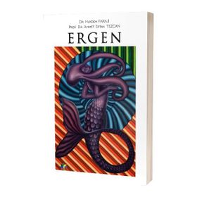 Ergen Haydeh Faraji Ahmet Ertan Tezcan