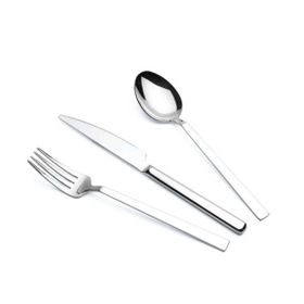 Erginoks Efes 6.00 mm AISI 304 Düzine Yemek Bıçağı