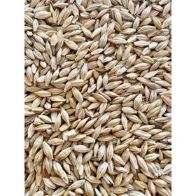 Erkan Tarım 1 kg Arpa Büyükbaş ve Küçükbaş Besi Yemi