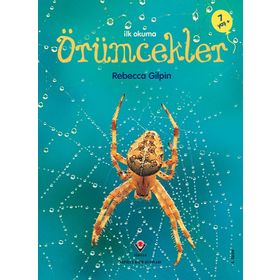 Erken Çocukluk Kitaplığı - Örümcekler - Rebecca Gilpin