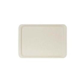 Erkoplas ERKO0107 Polyester 37x53 cm Anti Bakteriyel Bej Servis Tepsisi