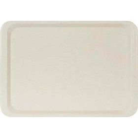 Erkoplas ERKO0107 Polyester 37x53 cm Anti Bakteriyel Bej Servis Tepsisi