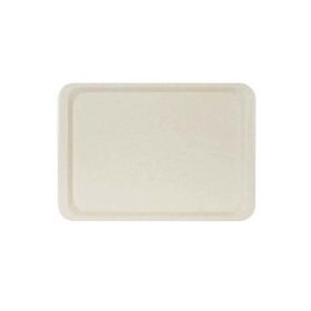 Erkoplas ERKO0107 Polyester 37x53 cm Anti Bakteriyel Bej Servis Tepsisi