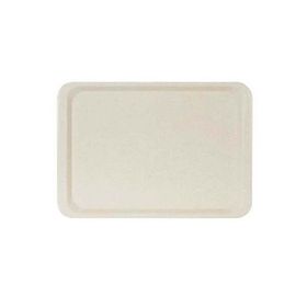 Erkoplas ERKO0107 Polyester 37x53 cm Anti Bakteriyel Bej Servis Tepsisi