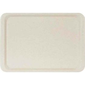 Erkoplas ERKO0107 Polyester 37x53 cm Anti Bakteriyel Bej Servis Tepsisi