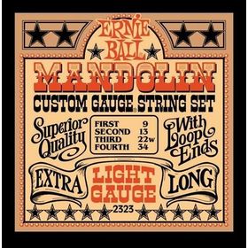 Ernie Ball P01820 .020 Earthwood Fosfor Bronz Sargılı Akustik Tek Tel