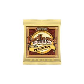 Ernie Ball P02002 Akustik Gitar Tel Seti