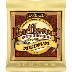 Ernie Ball P02002 Akustik Gitar Tel Seti