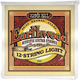 Ernie Ball P02010 Akustik Gitar Tel Seti