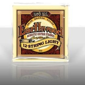 Ernie Ball P02010 Akustik Gitar Tel Seti