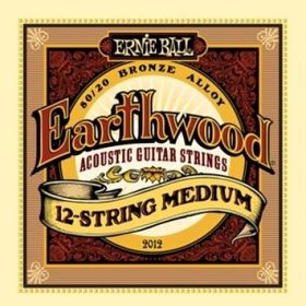Ernie Ball P02012 12 Telli Akustik Gitar Teli