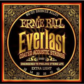 Ernie Ball P02560 Akustik Gitar Tel Seti
