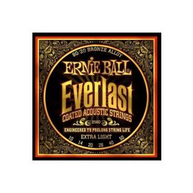 Ernie Ball P02560 Akustik Gitar Tel Seti