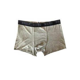 Eros Gri Erkek Boxer