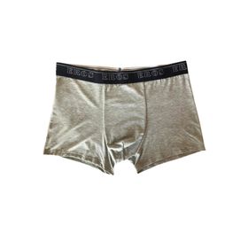 Eros Gri Erkek Boxer
